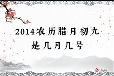 2014农历腊月初九是几月几号