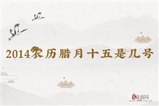 2014农历腊月十五是几号