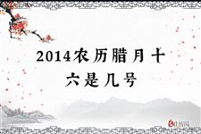 2014农历腊月十六是几号