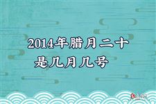 2014年腊月二十是几月几号