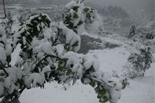 大雪是什么时候?大雪节气吃什么?