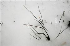 小雪是什么意思?小雪是什么时候?