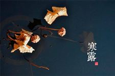 寒露是什么时候?寒露是什么意思?