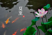 夏至是什么意思?夏至是什么时候?夏至吃什么?