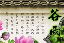 谷雨是什么意思?谷雨是什么时候?