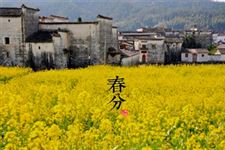 春分是什么意思?春分是什么时候?春分吃什么?