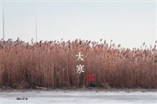 2015年大寒和小寒哪个节气更寒冷