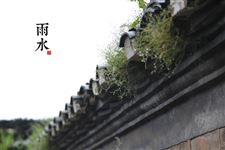2015雨水节气的起居