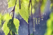 2015雨水至惊蛰运动调节
