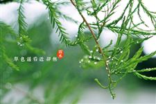 2015雨水节气习俗有哪些