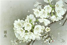 2015年雨水节气是哪一天