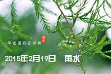 2015年雨水节气时间