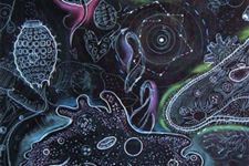 一滴水中有多少微生物