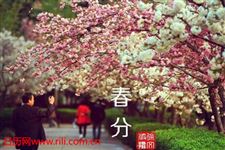 2015关于春分的诗句歌词