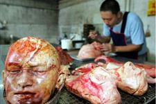 愚人节恶搞笑话之动物篇 把人当动物看