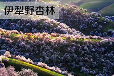 清明节小长假好去处