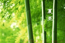 夏至在农事上面有什么要求