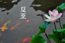 夏至食疗有哪些