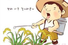 夏至都有哪些谚语