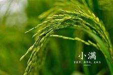 小满农事活动
