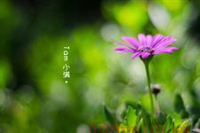 小满节气吃什么水果防晒