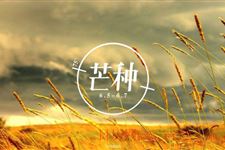 芒种的由来与习俗 芒种的由来和风俗习惯
