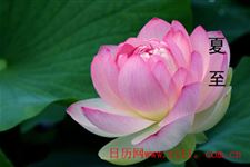 2015年夏至习俗吃什么 
