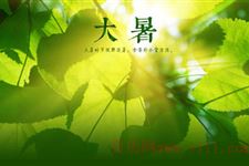 大暑应该吃什么