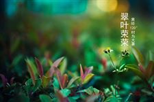 大暑节气怎样养生