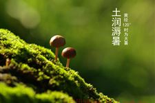 大暑什么意思