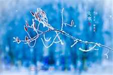 大寒节气适合吃什么