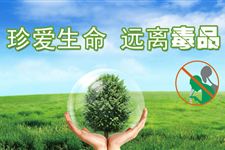 国际禁毒日是哪一天