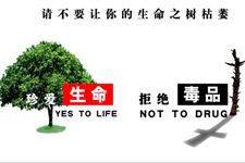 6月26日国际禁毒日简介