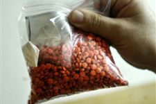 国际禁毒日—毒品的分类
