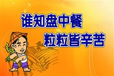 世界粮食日精选关于节约粮食的短信