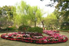 2015年拙政园杜鹃花节是什么时候