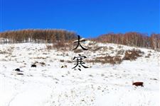 大寒养生怕冷吃什么 大寒养生御寒好食补