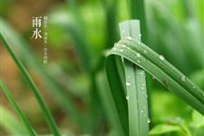 雨水节气之后下一个节气是什么