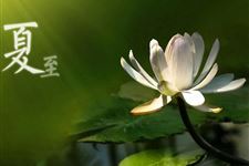 2016年夏至时间:2016夏至是几月几日