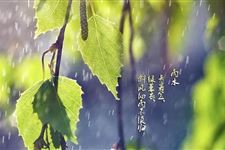 二十四节气之雨水的来历与习俗