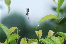 雨水节气祝福短信 2016年雨水祝福语大全