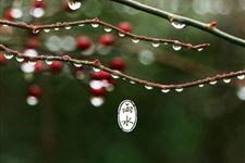 雨水节气是怎么来的 雨水节气的来历简介