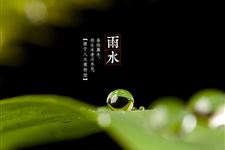雨水节气习俗:回娘屋习俗
