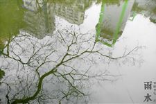 雨水节气习俗:拜寄习俗