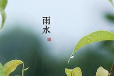 关于雨水节气的诗词大全