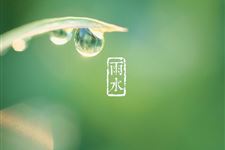 雨水节气农谚 关于雨水的农谚大全