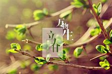 雨水前面是哪个节气 雨水上一个是什么节气