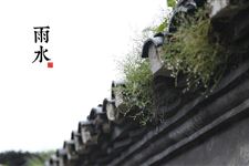 雨水过后是什么节气 雨水后面是什么节气