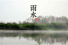 雨水节气需要干什么农活