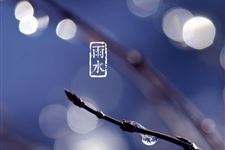 盘点雨水节气民俗有哪些